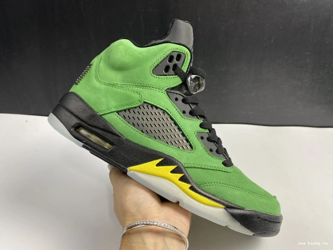 Rep Air Ducks 5 CK6631-307 Jordan SE Oregon 0814